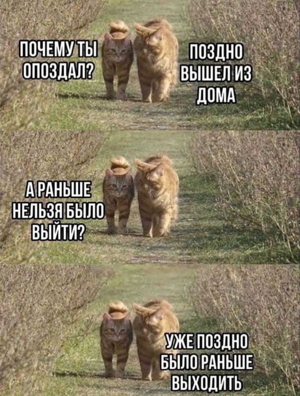 Завалялось тут случайно немного забавных картинок
