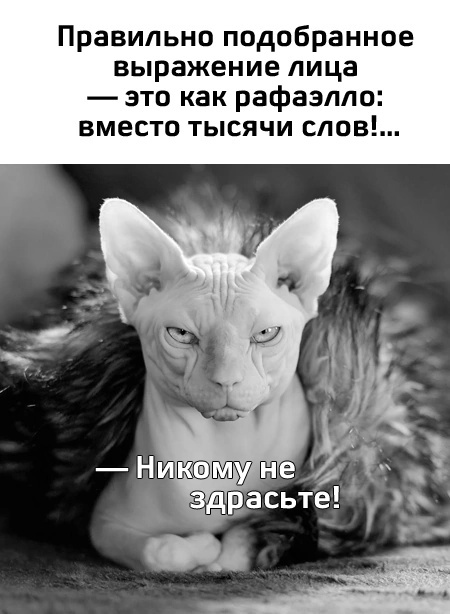 Так себе картинки 08.02.25