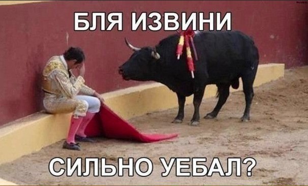 Так себе картинки 22.03.25