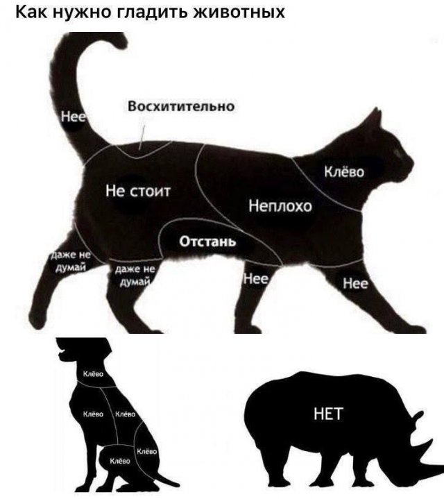 Завалялось тут случайно немного забавных картинок