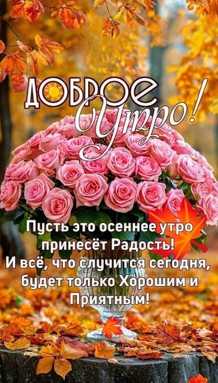 Прикольные и просто красивые картинки