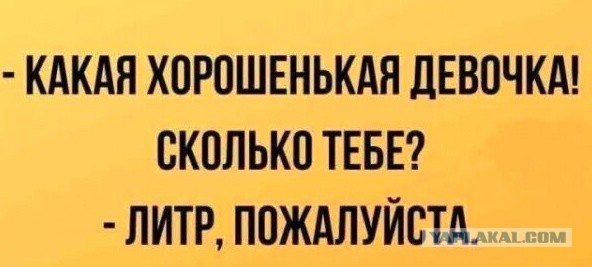 Веселые картинки в ненастоящую пятницу (31.10)