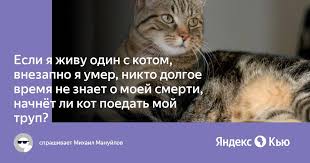 В КНР стало вирусным приложение для одиноких "Умер?"