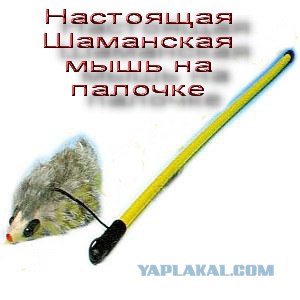 Скоро день системного администратора!