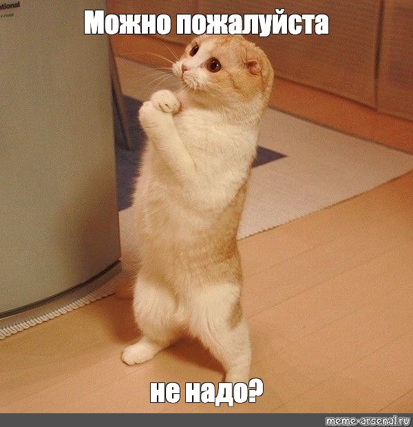 День открытых дверей на кладбище.