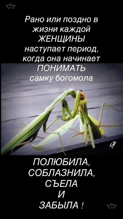 Жены стареют, первокурсницы никогда