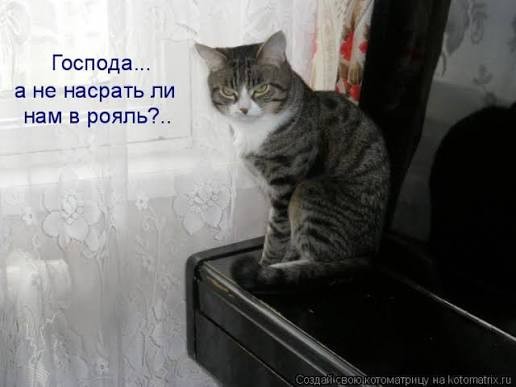 Рояль.