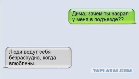 Смешные комментарии из соц. сетей