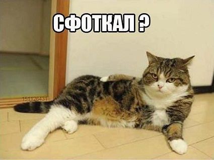 Позитивные картинки и комментарии.