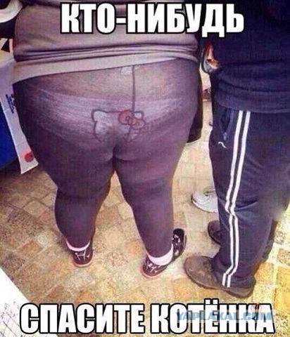 Женская модная одежда