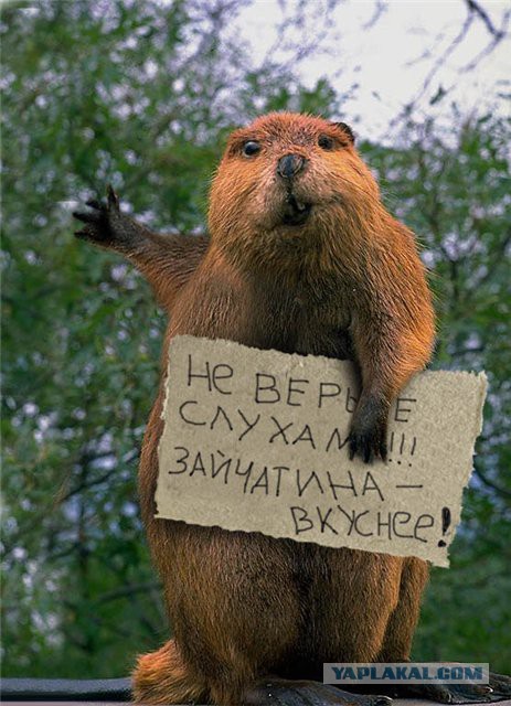 Голод в Москве!