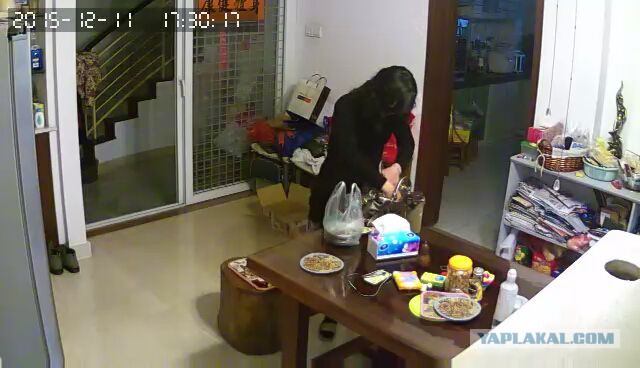 За что я люблю китайцев