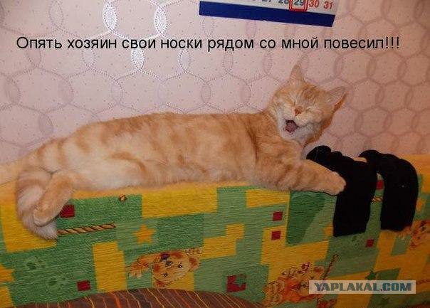 Подборка смешных и забавных фото