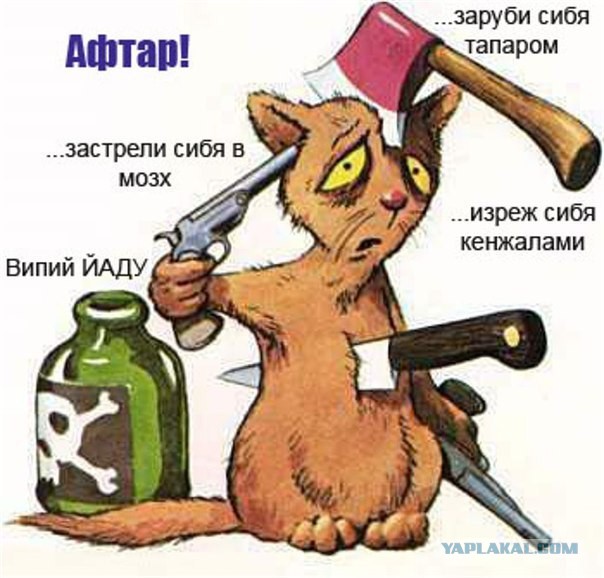 Типичная ситуация в комментах на заре ЯПъа