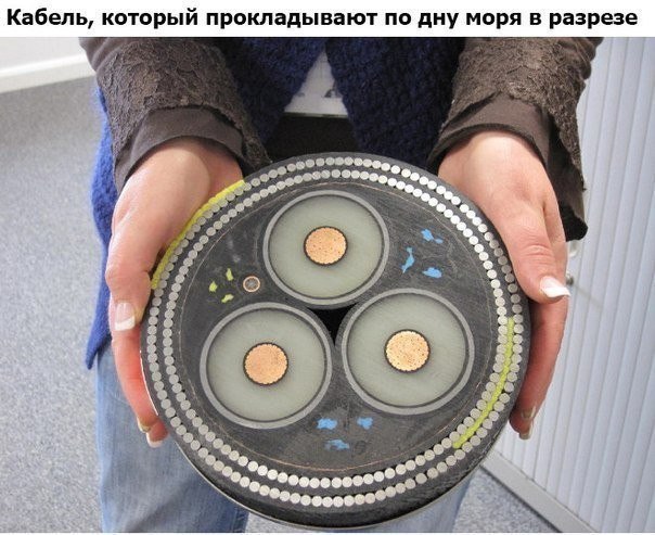 Комментарии и картинки из соцсетей
