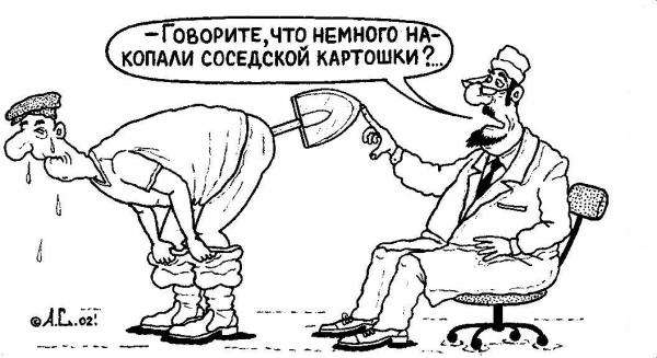 Поймал я дачных воров