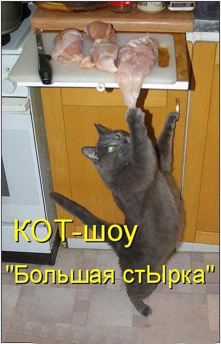 Картинки из инета
