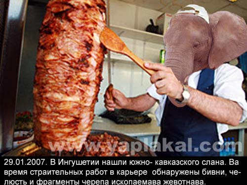 Другие Новасти