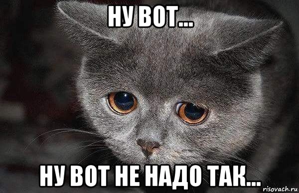 Kot Bespodoben Yaplakal