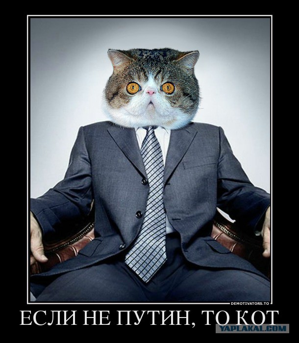 Кремль предупредил о законной реакции властей на акцию 29 апреля