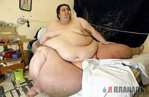 Толстяк идет на прогулку (16 фото)