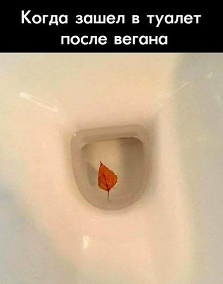 Картинки разные и не очень