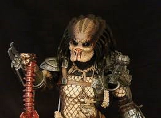 Куриная тушка (рулет) лишенная скелета (poulet désossé)  