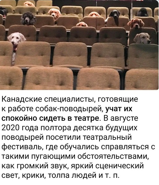 Картинки и мемы для настроения 16.06.2021
