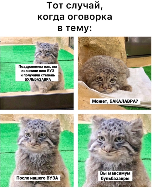 Юмор в картинках 22.08.21