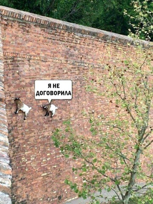 Картинки и мемы, всем прекрасных выходных