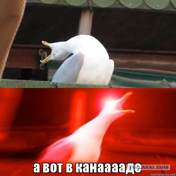 $100 000 в год: Зарплата учителей в Канаде и в России