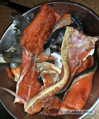 Лохикейтто (Суп из красной рыбы со сливками … финский)
