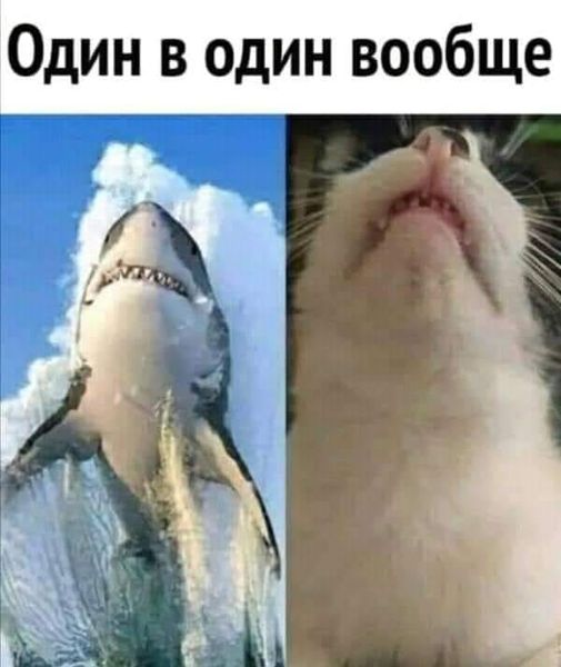 Картинки на пятницу 17.12.2021 разные
