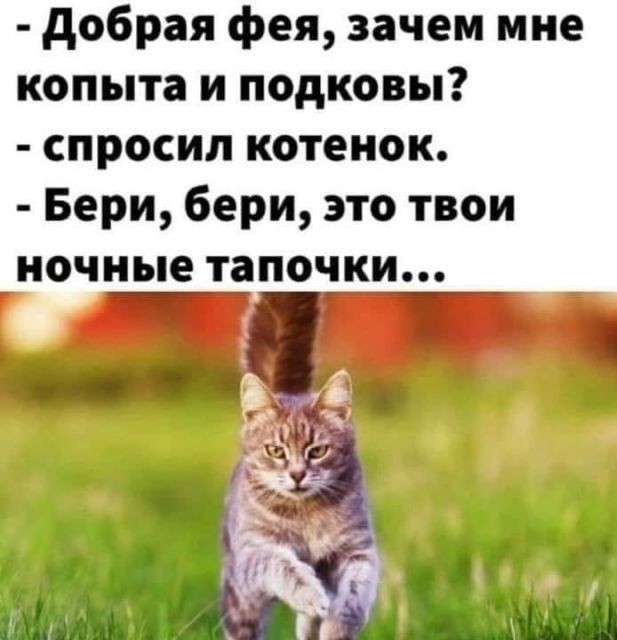Мы в ответе за тех...