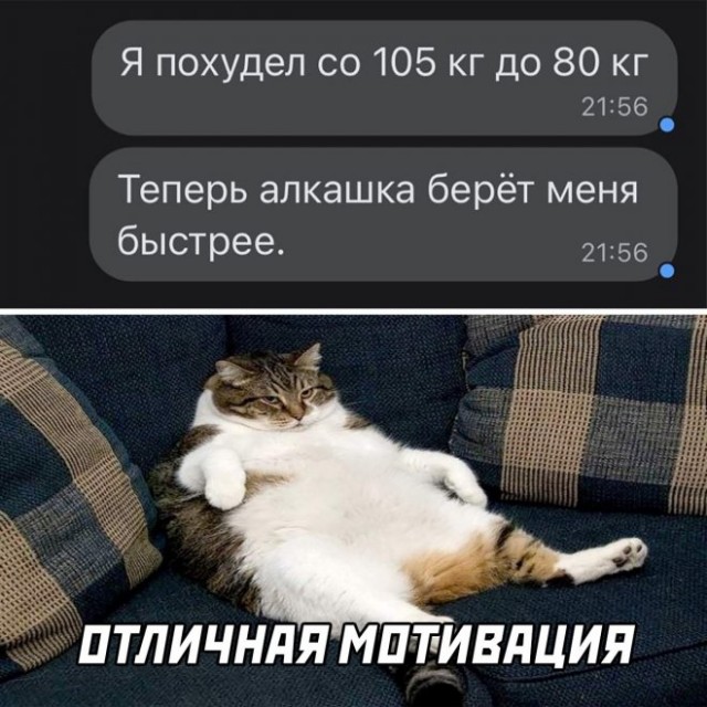 Картинки и мемы для настроения - 27