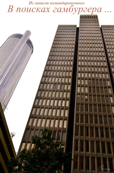 В поисках гамбургера..