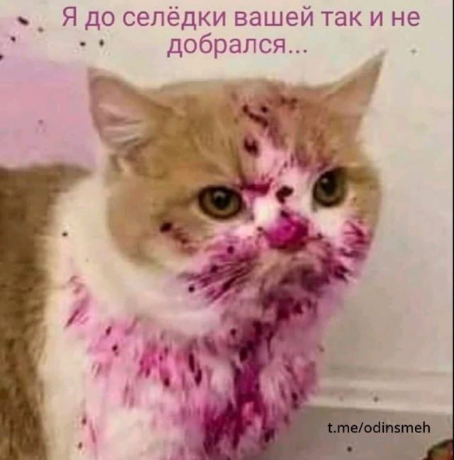 Картинки и мемы, всем хороших выходных