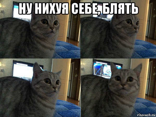 Нуштош 25.02.23