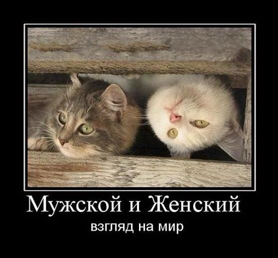 Вторая подборка самых баянистых баянов! Ностальгируем...
