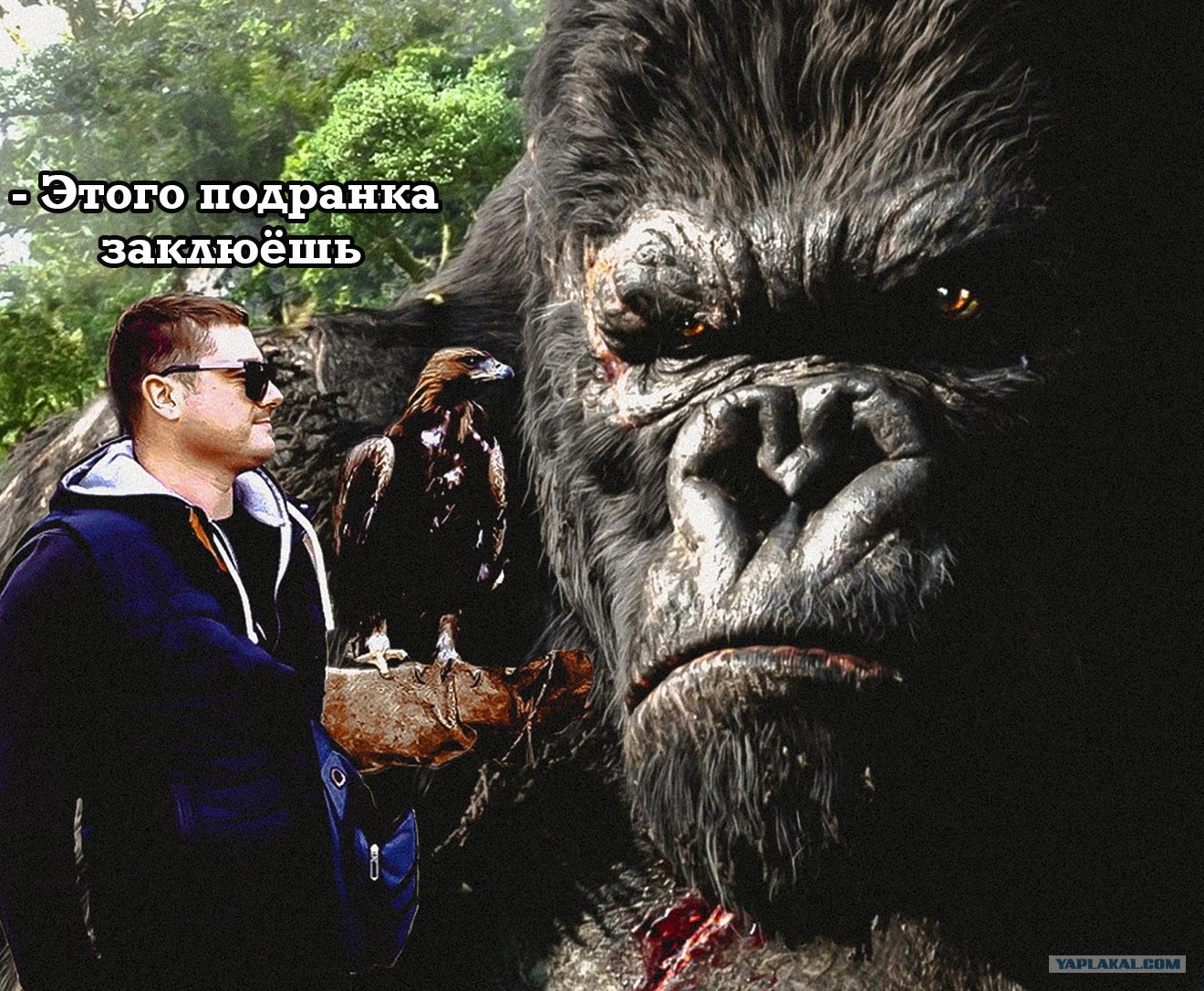 Кинг конг 2005 питер джексон. Kong o zbek tilida. Тарзан легенда горилла. Kong o zbek tilida. Кинг конг 2017.