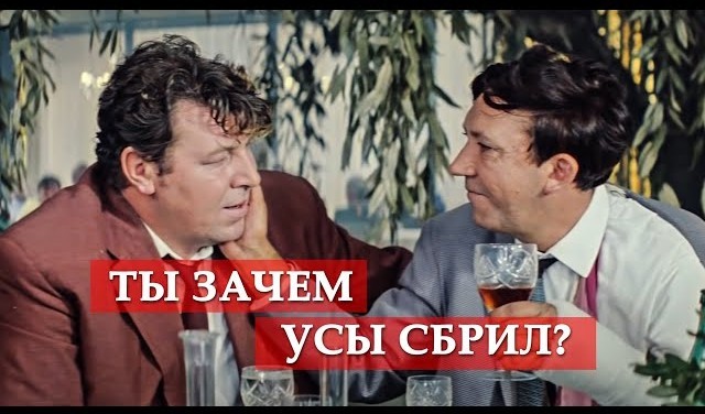 Первый Котовторник 2024