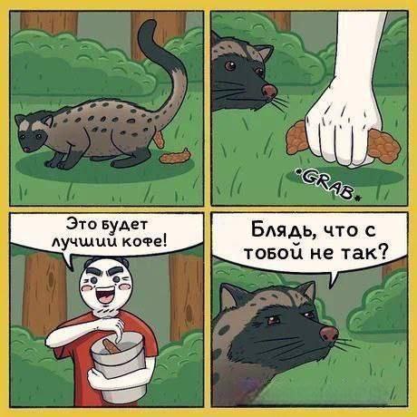 Трудовыебудни подошли к своему завершению. Подборка из интернетов без общей тематики.