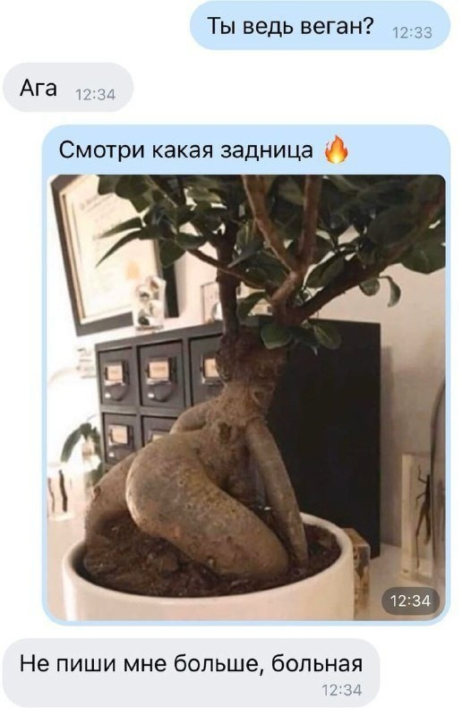 Так себе картинки 31.05.24