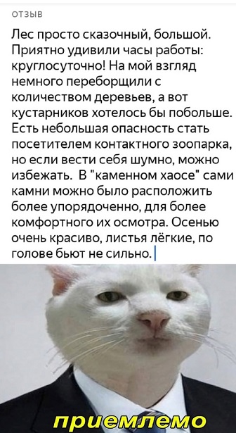 Что такое осень?