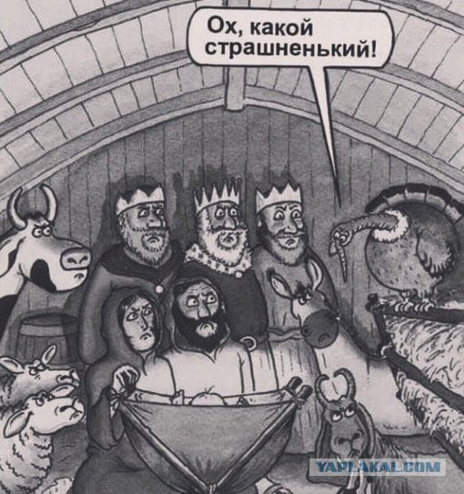 Так себе картинки 31.10.24