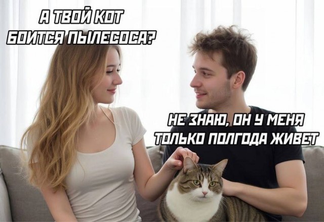 К котовторнику: подборка картинок-баянов с котиками и про котиков. Выпуск 6