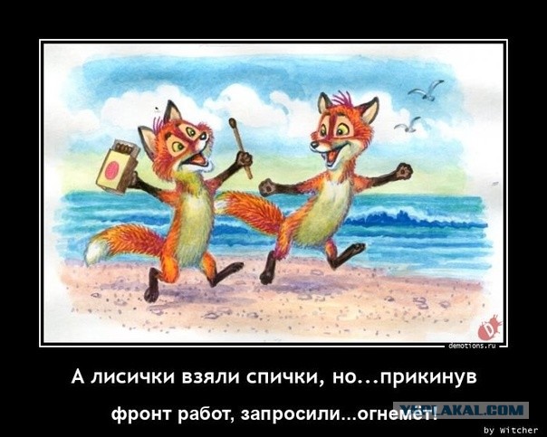 Пенсионерка с дочкой зарубились с пожарными, приехавшими тушить траву, которую они подожгли в Минусинске