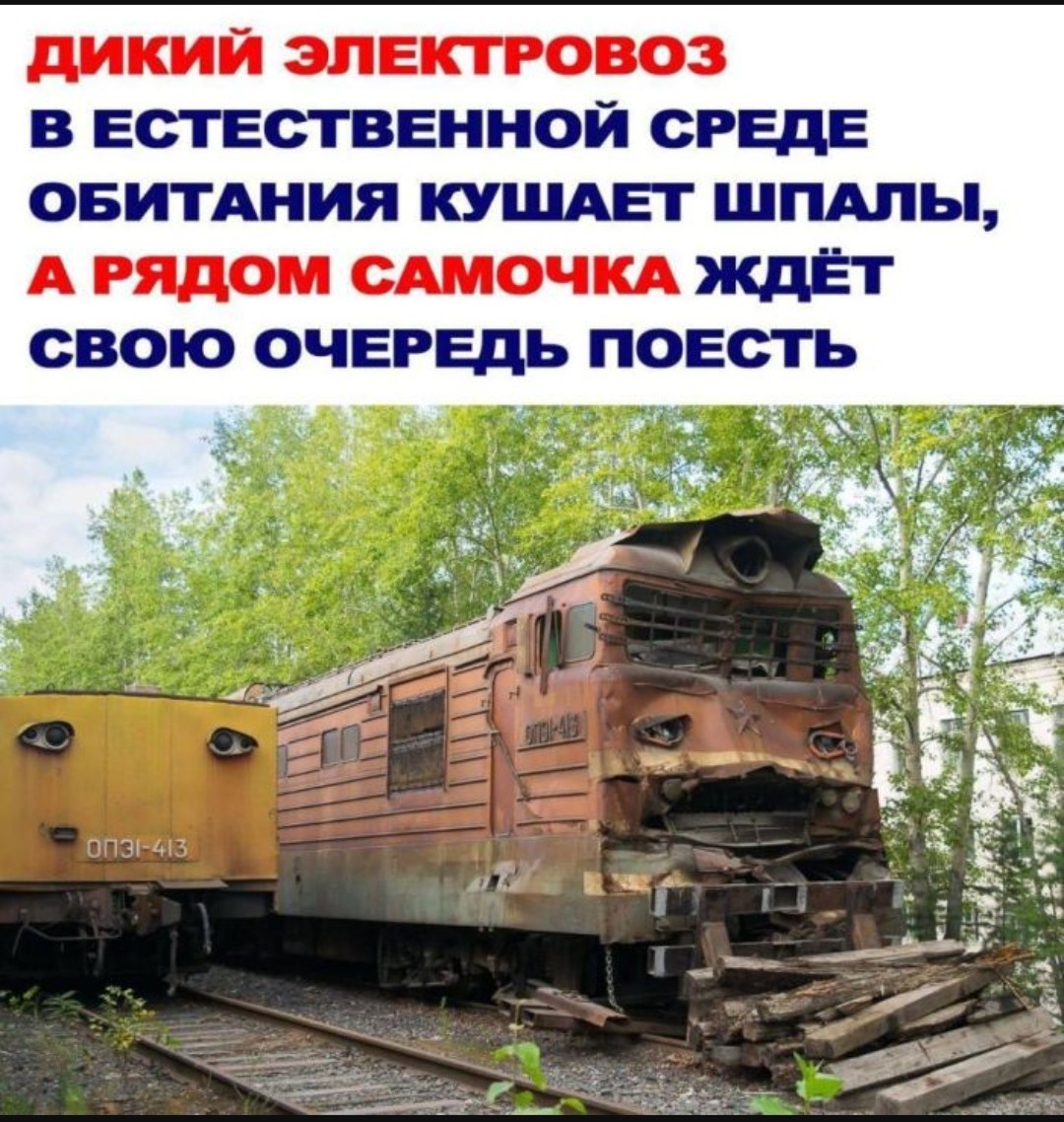 20208300.jpg