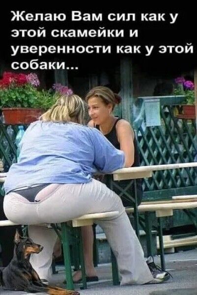 Прикольные и просто красивые картинки 22.08.2025