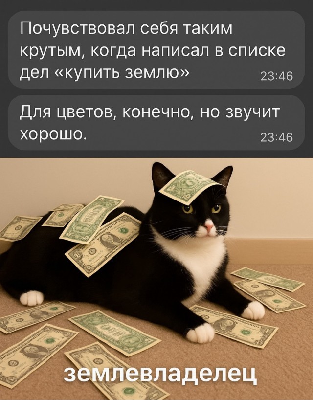 К котовторнику: подборка картинок-баянов с котиками и про котиков. Выпуск 23.